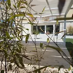 Netum
