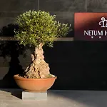 Netum Noto