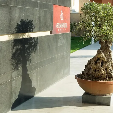 Hotel Netum