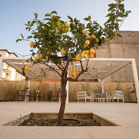 Netum 4* Noto