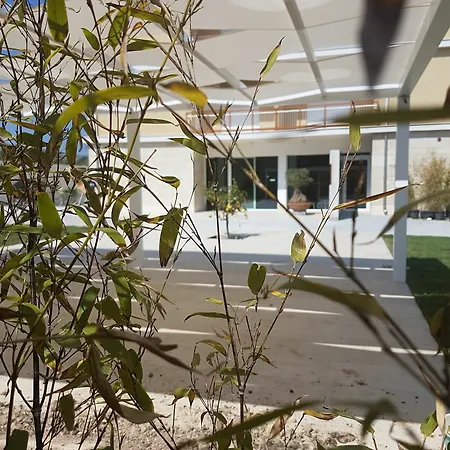 Netum