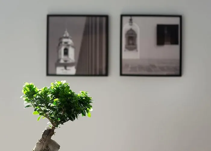 Отель Netum Ното