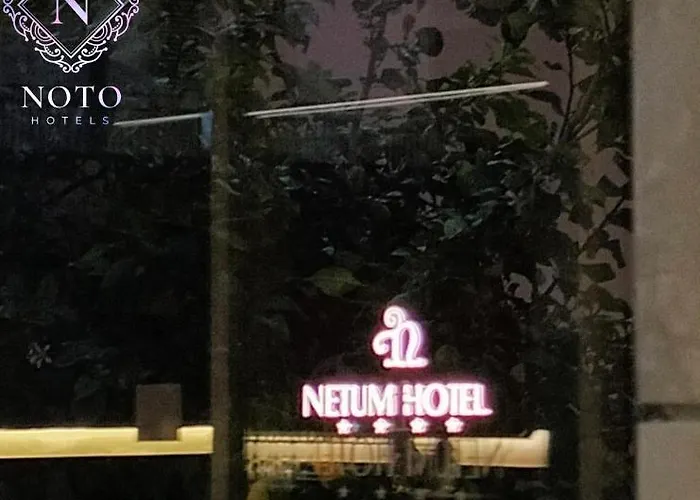 Hotel Netum 4*
