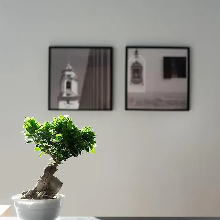 호텔 Netum 노토