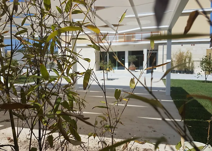 Netum